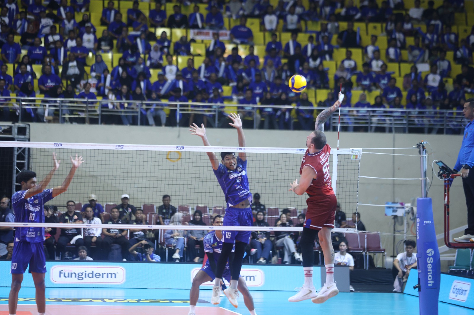 Belum Terkalahkan, LavAni Selangkah Menuju Gelar Juara Putaran Kedua