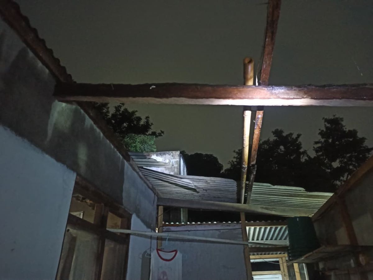 Sejumlah Pohon di Sleman Bertumbangan akibat Hujan Deras