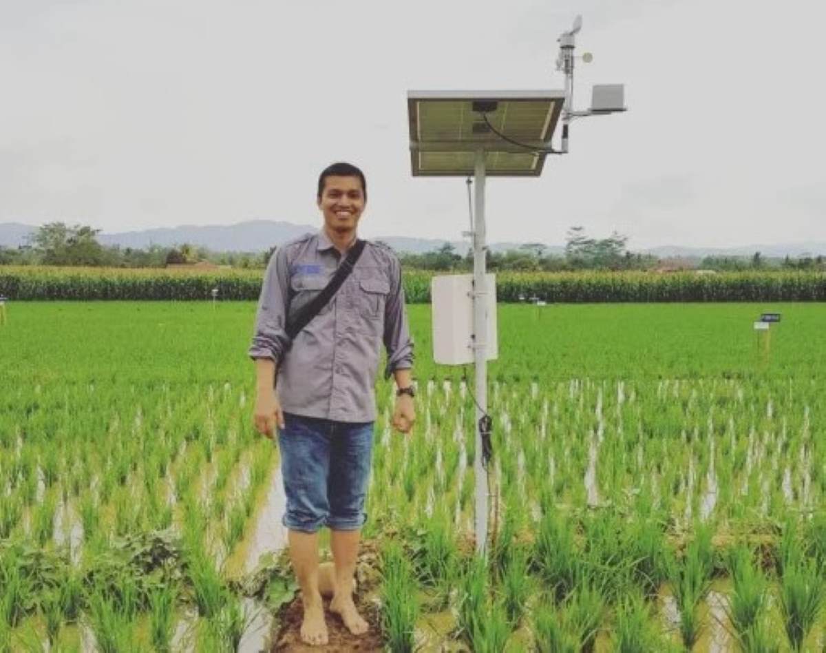Padi dan Jagung Paling Terdampak Godzilla El Nino