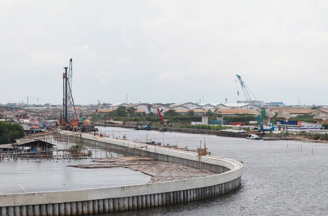 Proyek Tanggul Laut Pantura Berpotensi Rusak Mangrove, Lamun dan Terumbu Karang