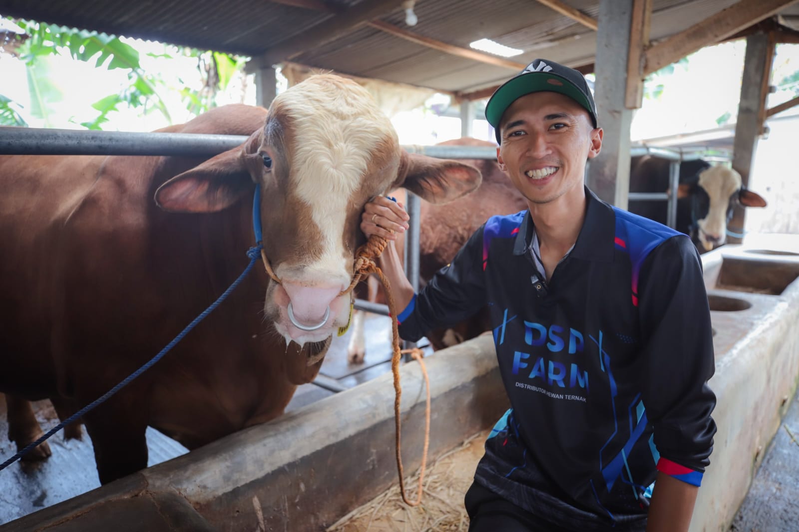 DSP Farm Kota Bandung Kembali Menjadi Pemasok Sapi Kurban Presiden