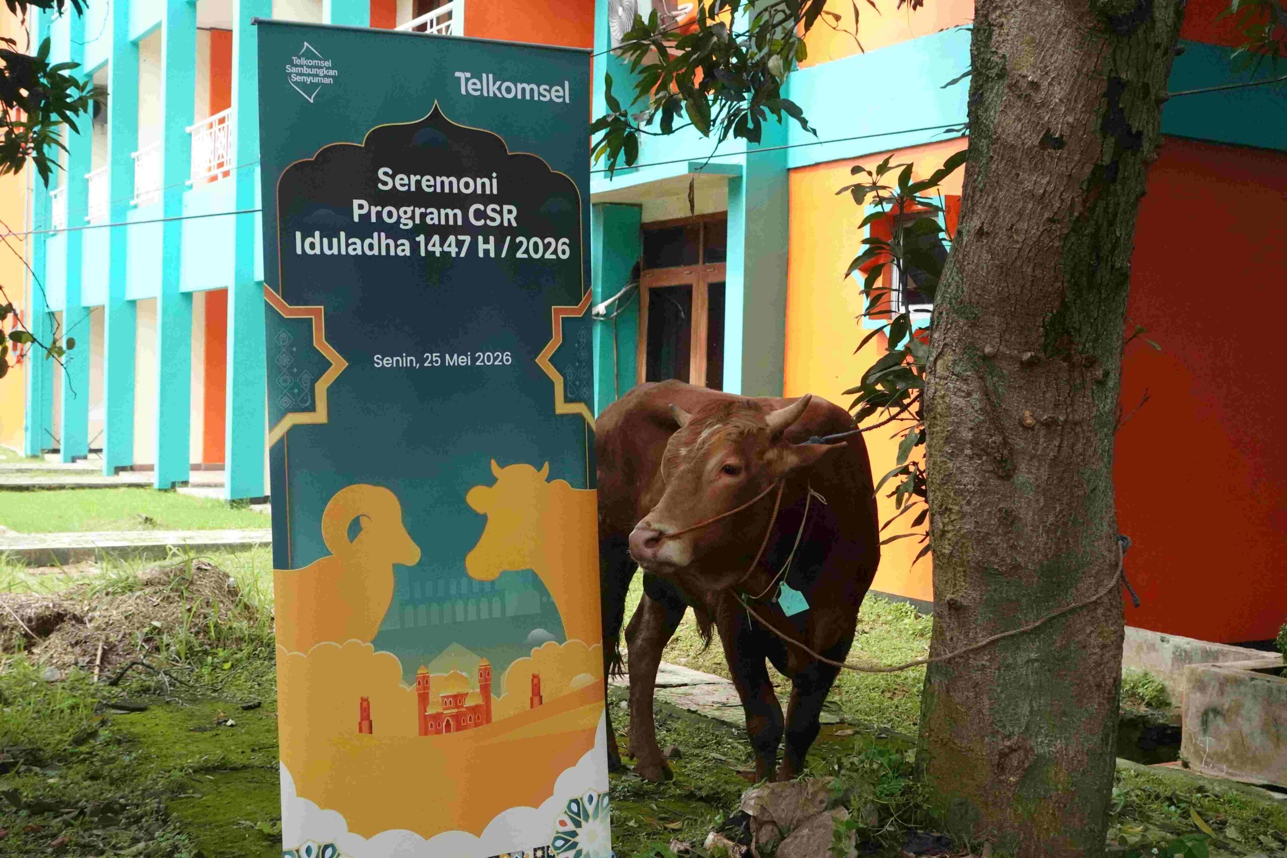 Rayakan Iduladha, Telkomsel Perluas Penyaluran Hewan Kurban