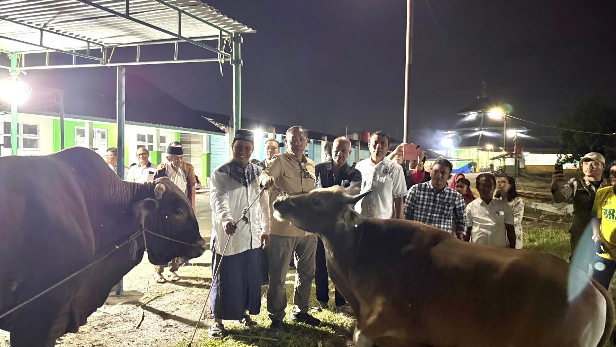 Bupati Tapanuli Utara Kembali Serahkan 1 Ekor Sapi Kurban