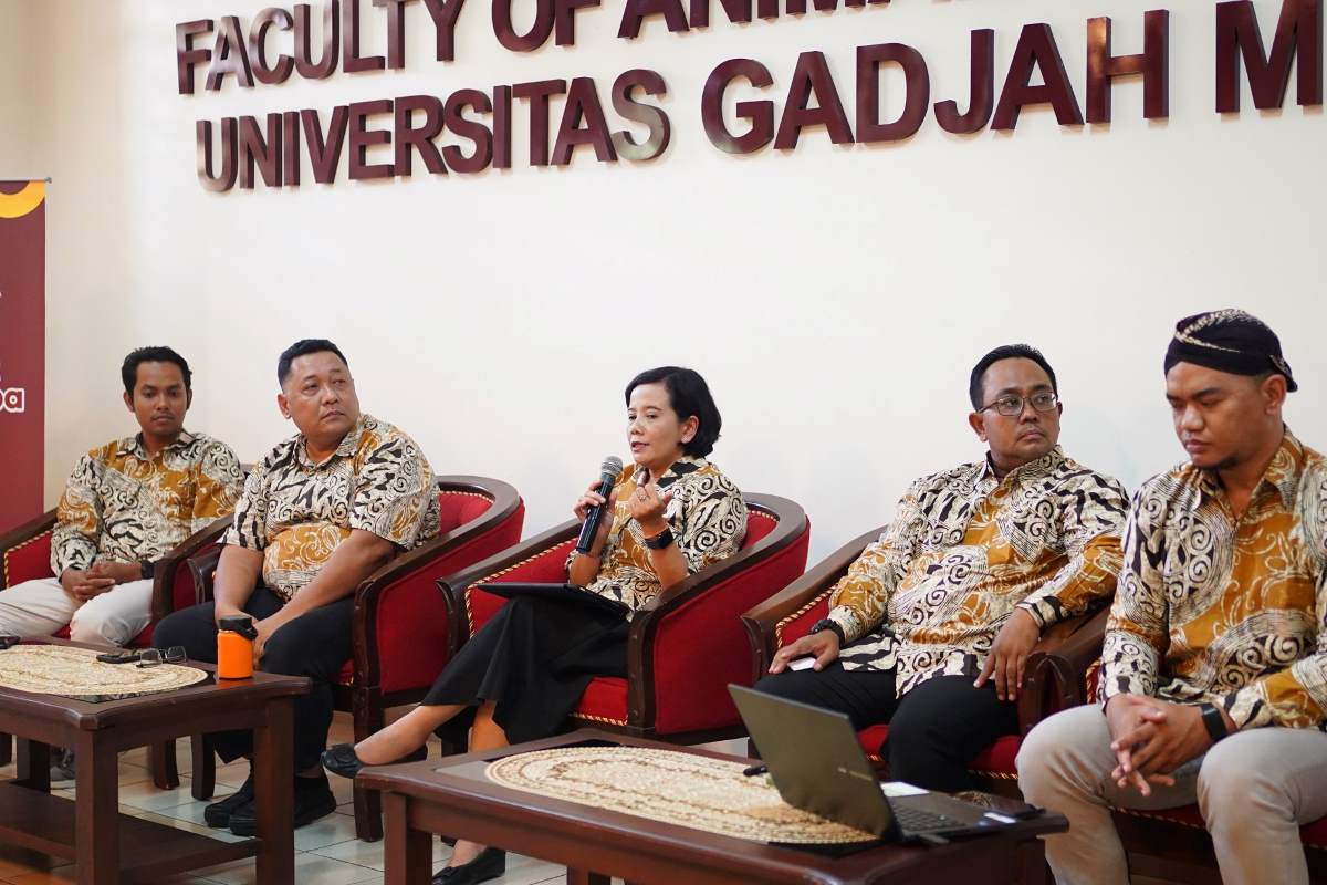 Gama Abilawa Portable Restraining Box Tingkatkan Efisiensi Pemotongan dan Kesejahteraan Ternak