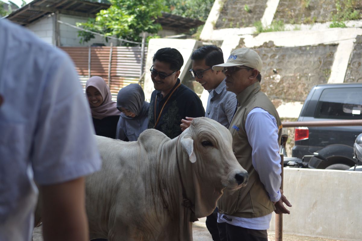 Pemkot Yogyakarta Perketat Pengawasan Hewan Kurban