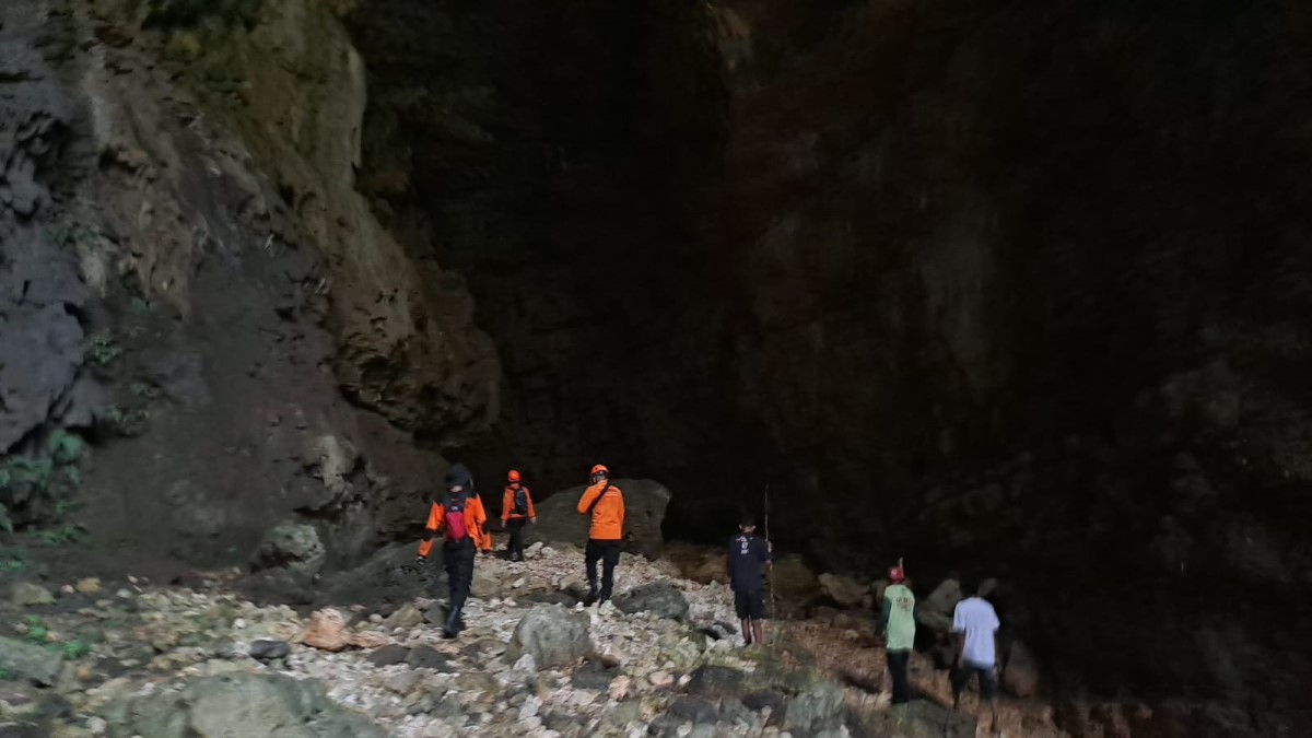 Tim SAR Gabungan Lanjutkan Pencarian Lansia Hilang di Hutan Selorejo