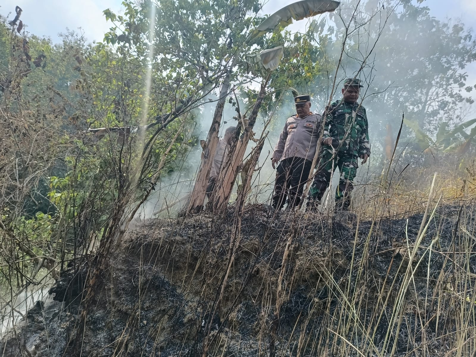 Banyak Karhutla, Menhut Minta Aparat Lakukan Penyelidikan