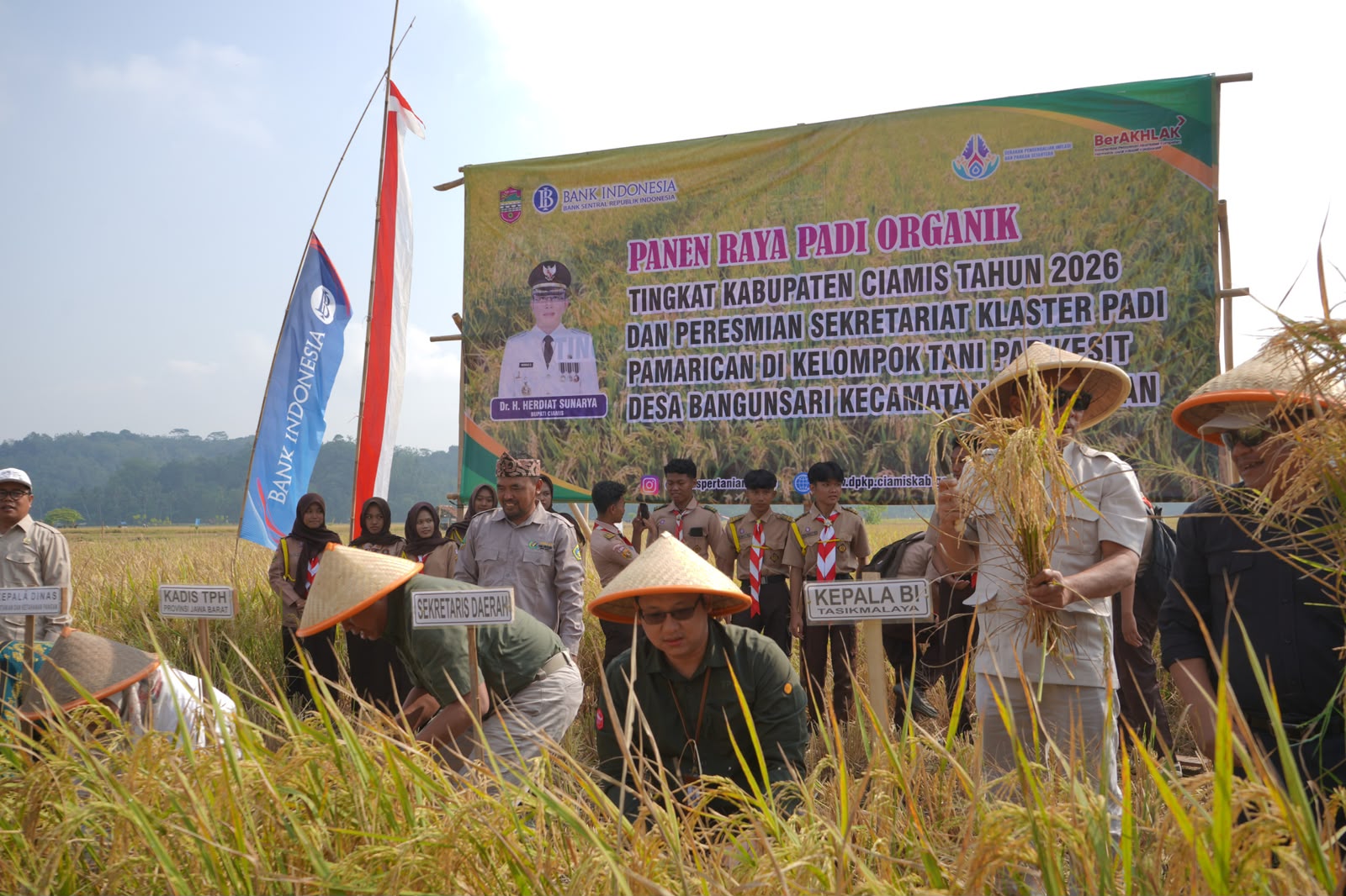 BI Tasikmalaya dan Pemkab Ciamis Sukses Panen Raya Padi saat Kemarau