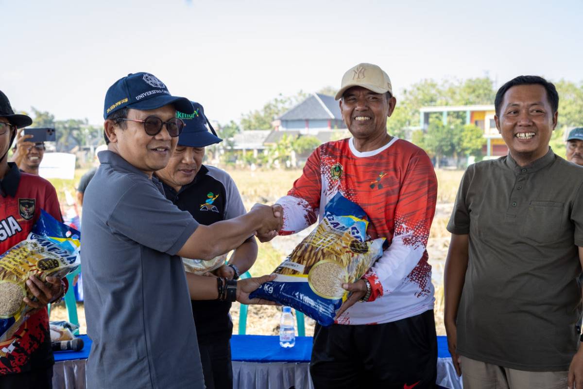 Panen Padi Gamagora, UGM Kembangkan Living-Lab Pertanian di Madiun