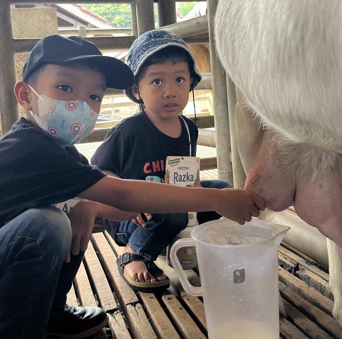 Fapet UGM Hadirkan Farm Tourism Holiday untuk Sarana Edukasi Anak-anak