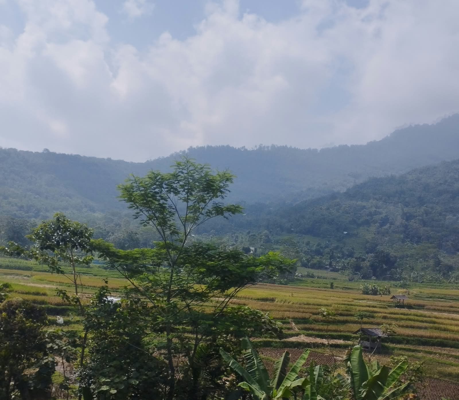 Demi Keselamatan, Menhut Larang Sementara Pendakian di 9 Taman Nasional