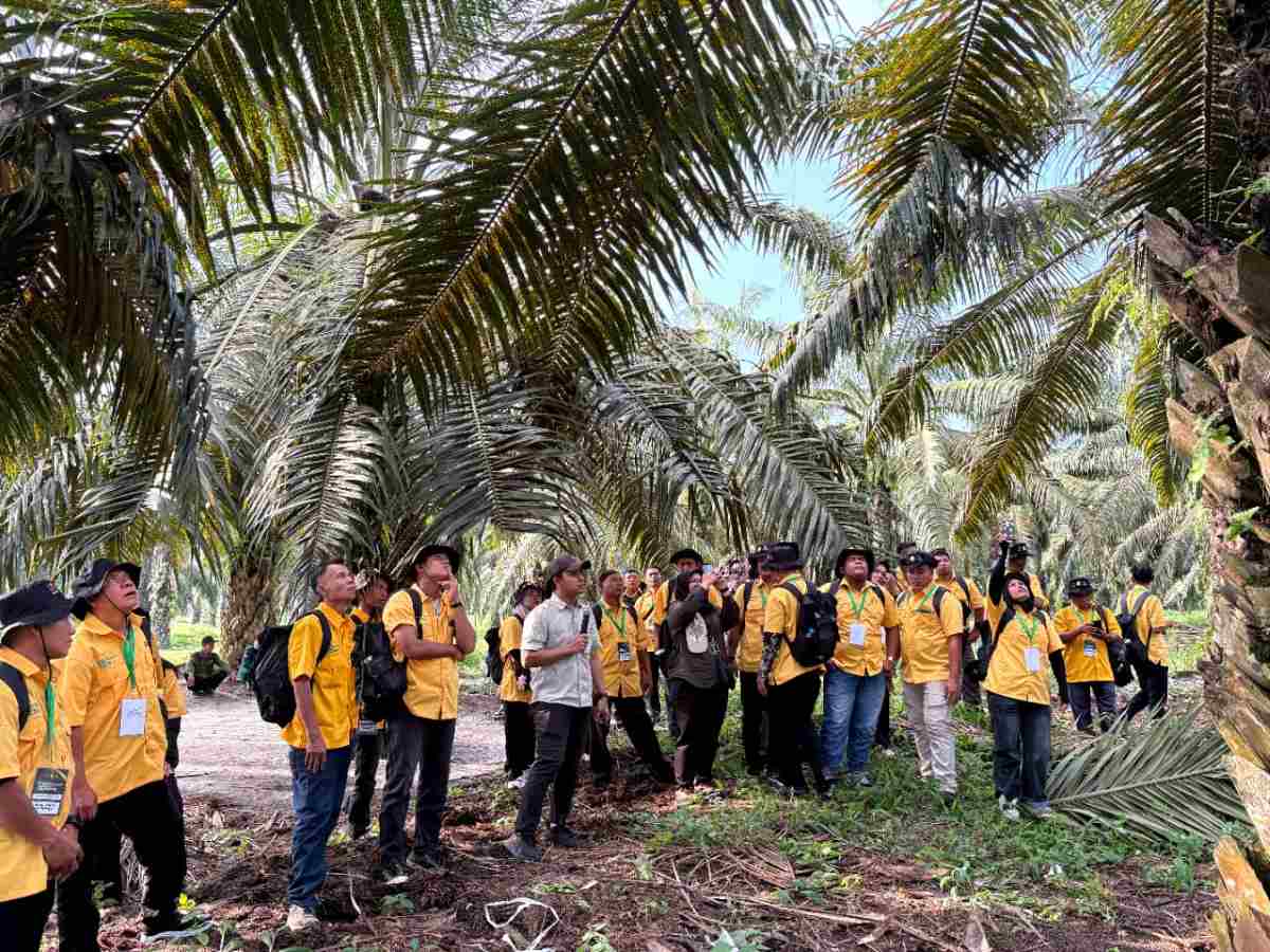LPP Beri Pelatihan kepada 87 Pekebun Sawit