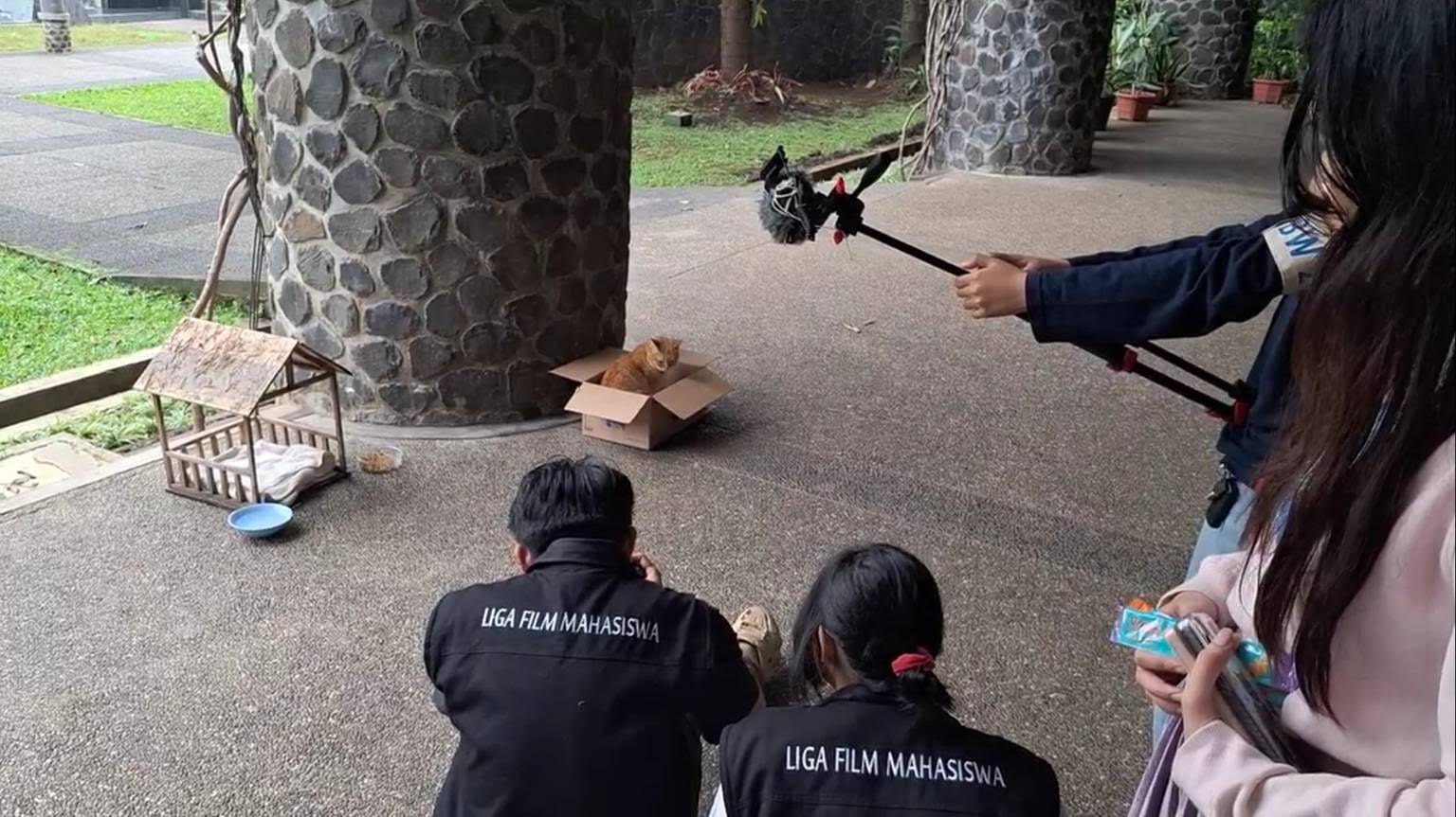 ‘Meong! Kucing ITB yang Antarkan LFM Raih Penghargaan
