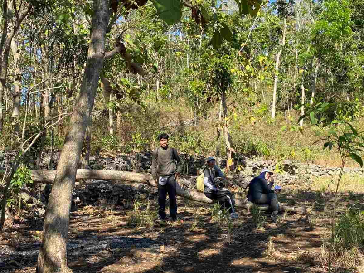 Mahasiswa UGM Cari Solusi Cegah Konflik Manusia dengan Monyet